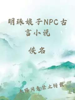 明珠娘子NPC古言小说