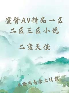 蜜臀AV精品一区二区三区小说