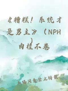 《糟糕！系统才是男主》（NPH）