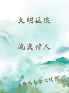 大明孤狼