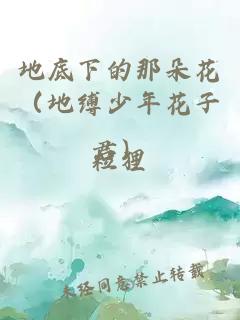 地底下的那朵花（地缚少年花子君）