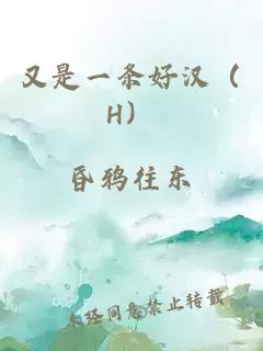 又是一条好汉（H）