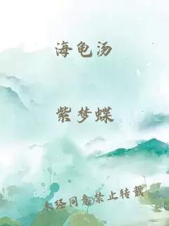 海龟汤