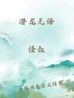 潜龙无悔