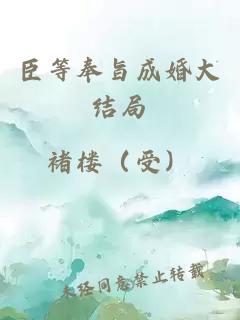 臣等奉旨成婚大结局