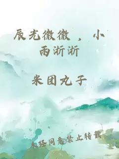 辰光微微 ，小雨淅淅