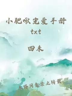 小肥啾宠爱手册txt