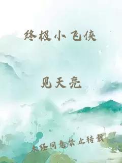 终极小飞侠