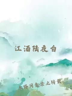 江酒陆夜白