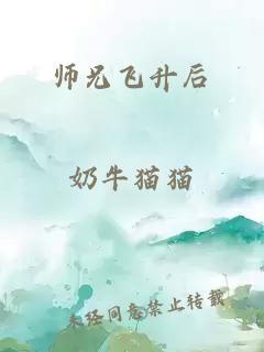 师兄飞升后